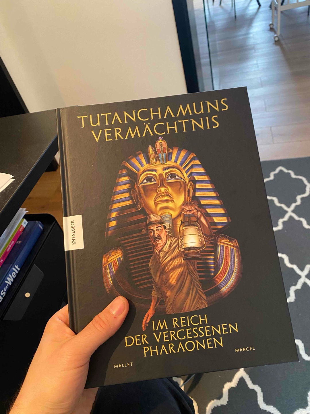 Ich mag es wenn Comics einen geschichtlichen Hintergrund haben! So erfahren wir hier die Hintergründe von der Suche und den Ausgrabungen von Tutanchamuns Grabstätte. Hat mir gefallen😊