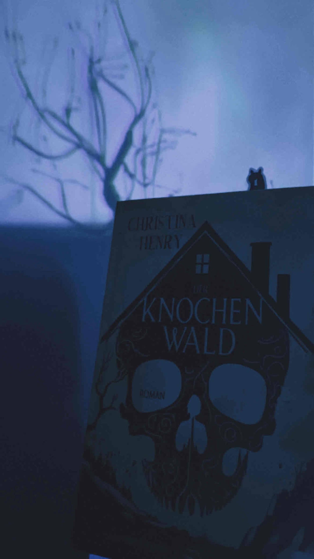 Ganz anders als erwartet - und dadurch viel spannender…