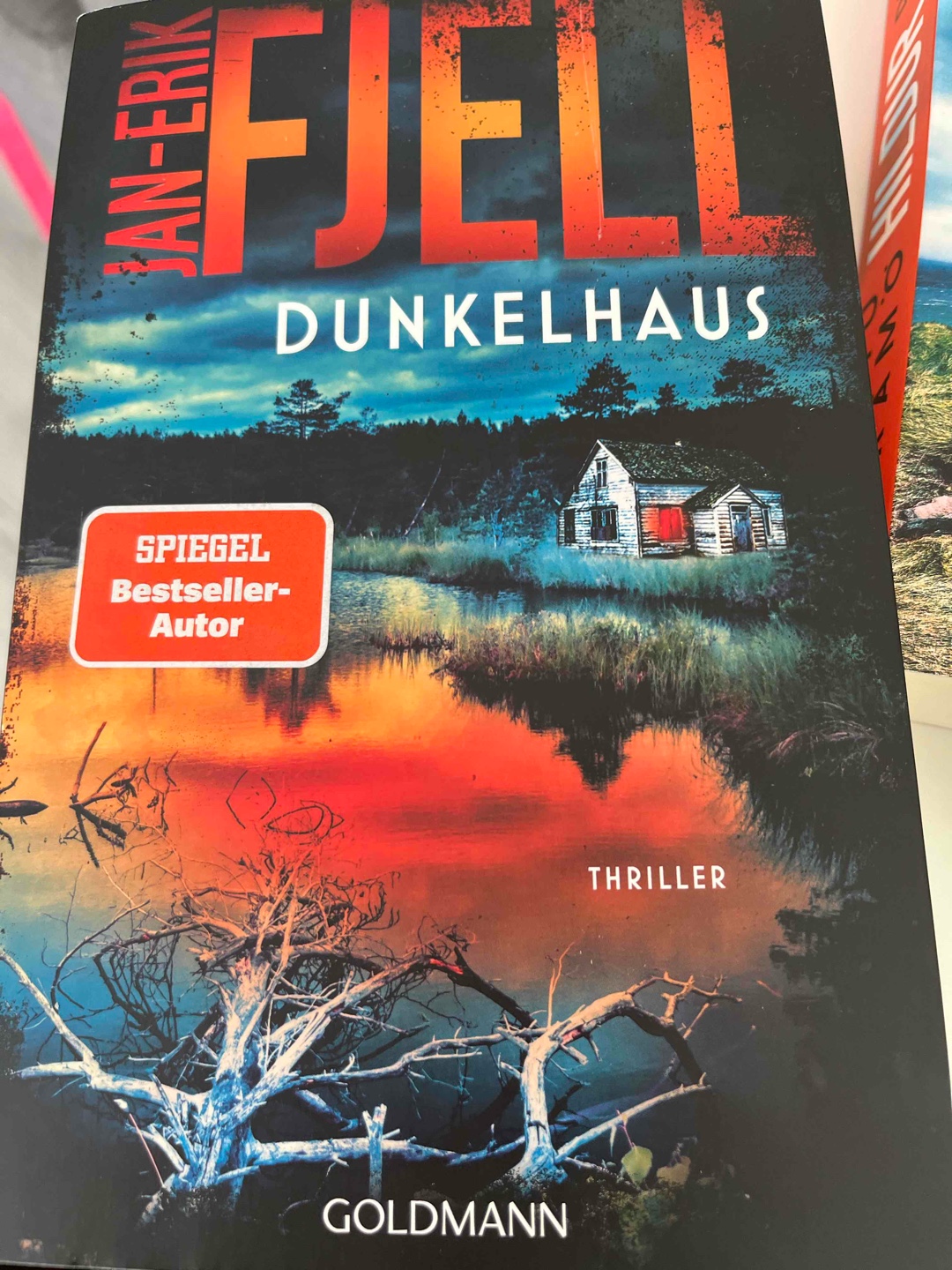 Klassischer Skandinavischer Thriller. Angenehmer Stil, interessante Charaktere. Empfehlenswert 😃