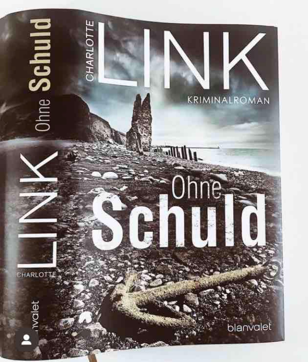 Ein Buch, welches man durchsuchten muss! Es ist spannend bis zur letzten Seite und Charlotte Link schafft es, dass man das Buch keine Sekunde aus der Hand legen möchte und kann!