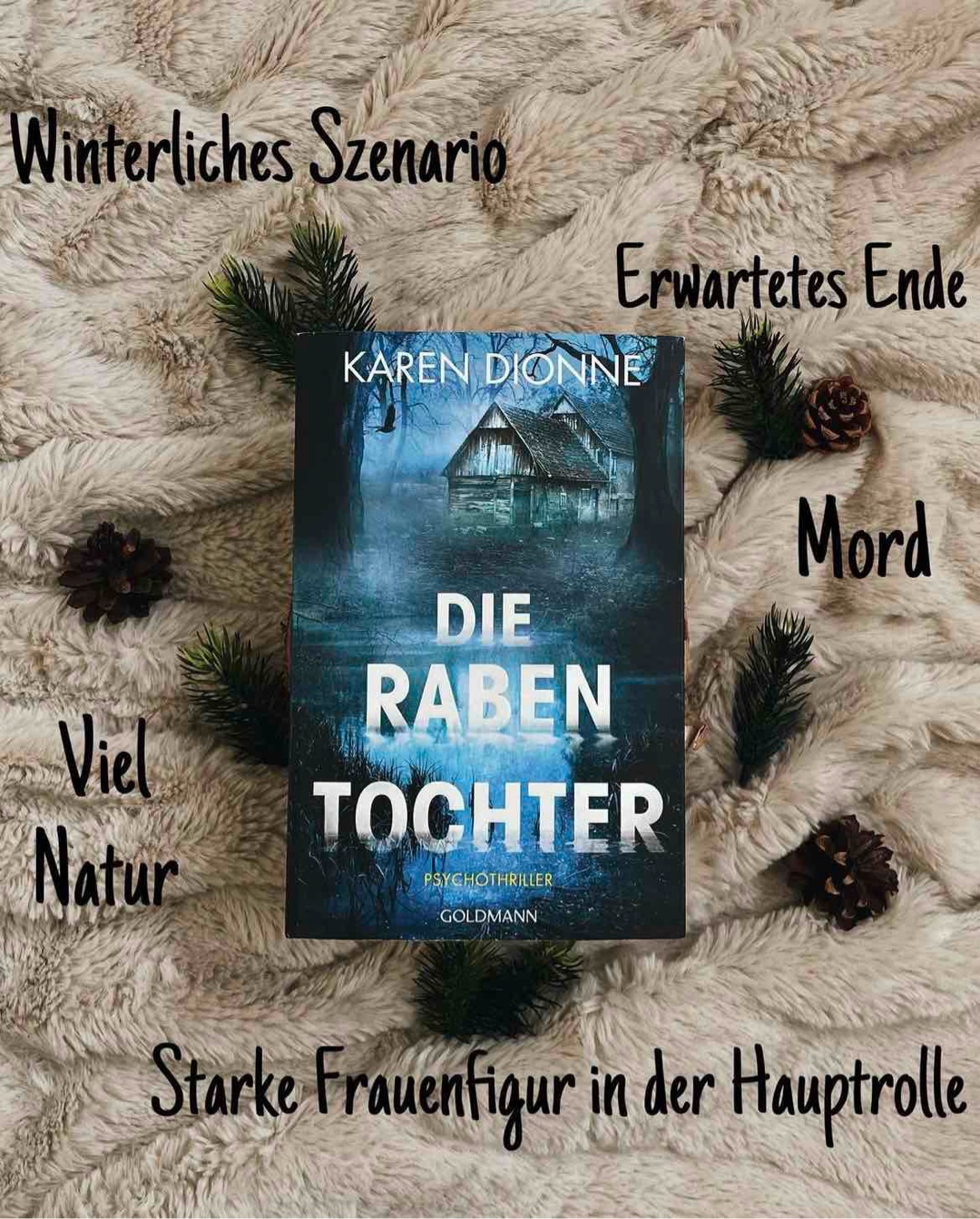 Spannender Thriller mit Winteratmosphäre