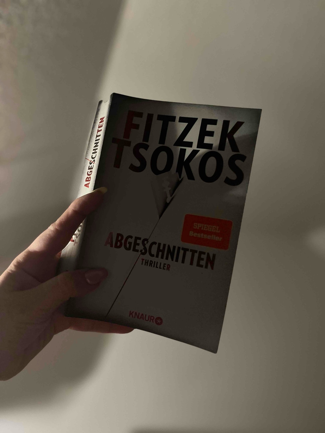 Spannend bis zum Schluss und wie gewohnt baut Fitzek noch die ein oder andere Überraschung ein