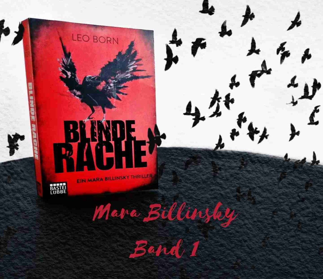 Spannender Plot, großartige Protagonistin - dieser Thriller lässt keine Wünsche offen