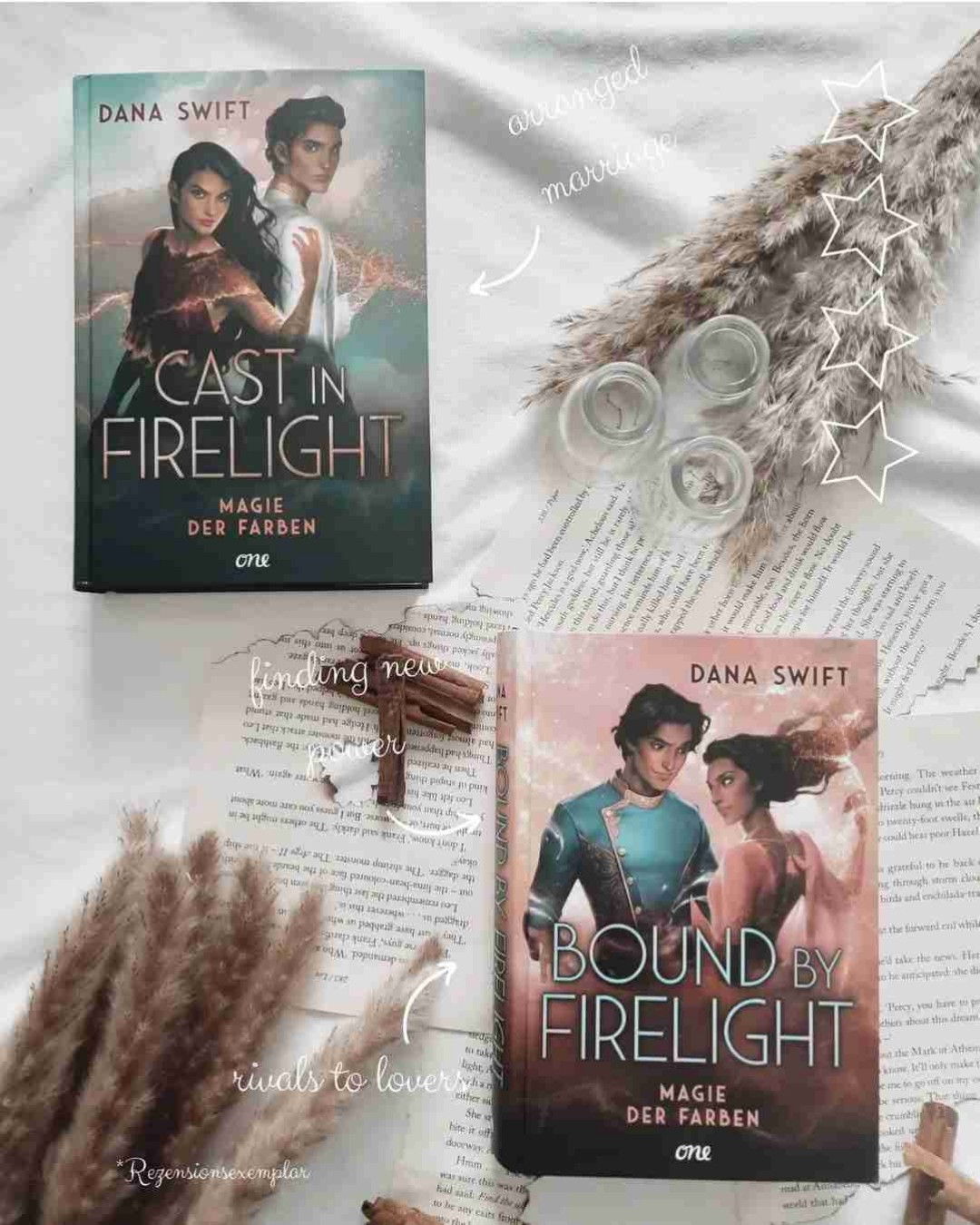 Bound by Firelight - Dana Swift ⭐️⭐️⭐️⭐️/5