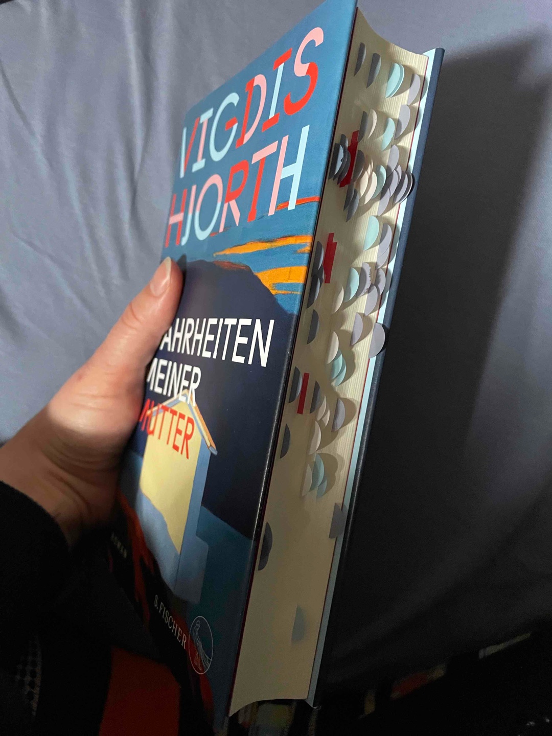 Dieses Buch hat mich komplett zerstört! Ich kann es jeder Tochter empfehlen, die nach Antworten sucht.