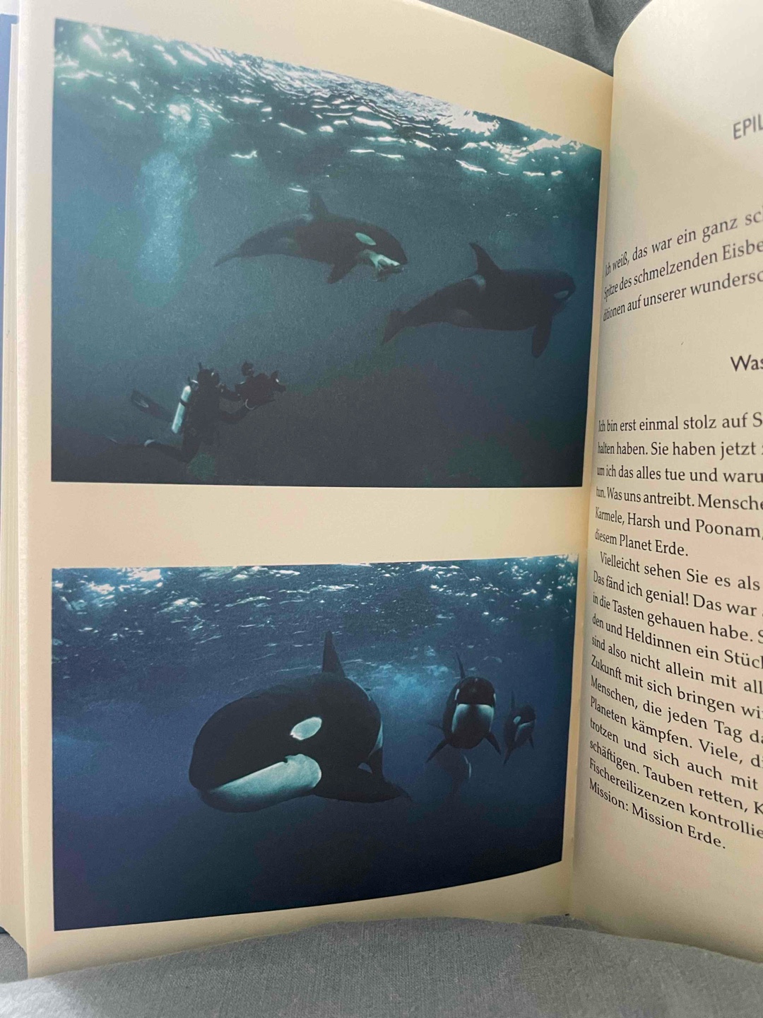 Sehr tolles Buch. Schon lange nicht mehr so viel geweint, gelacht und gelernt bei einem Buch
