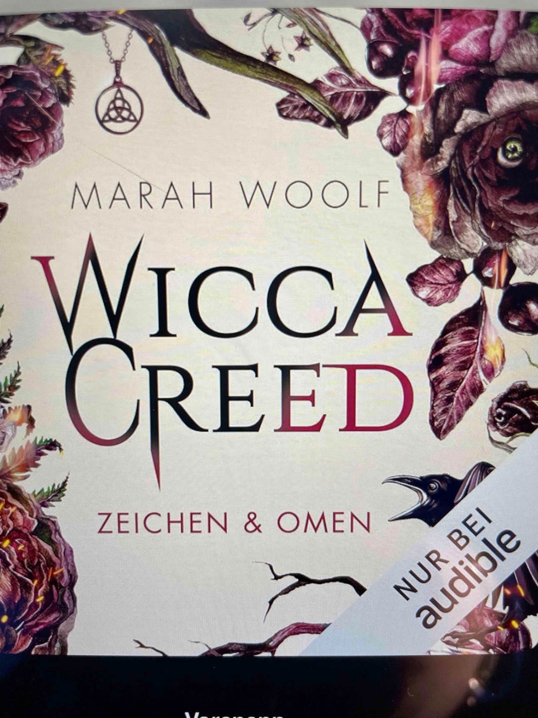 Großartiges Buch mit tollem Fantasy Background und schöner Lovestory