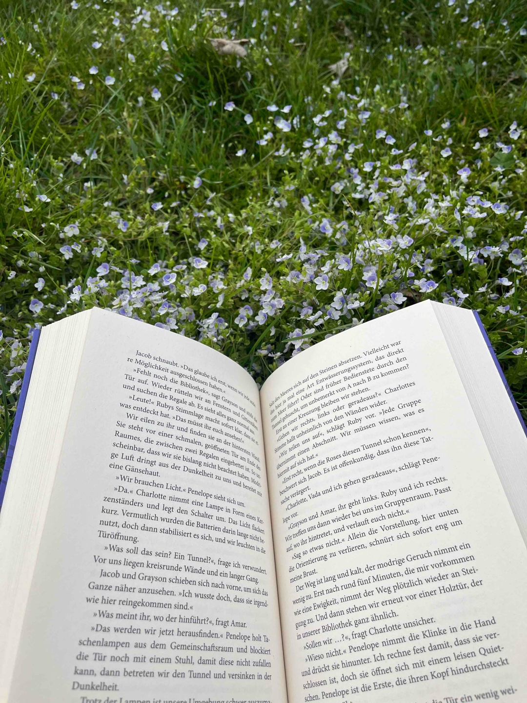 Das Buch war echt süß.