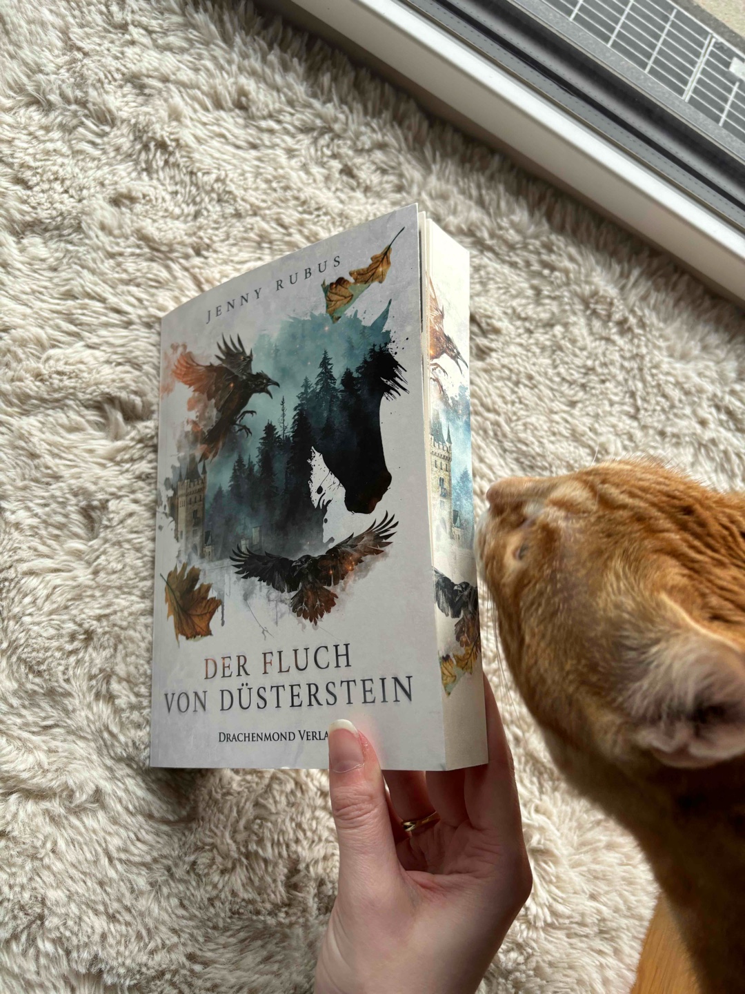 Meer gegen Bäume. Fische gegen Klöße. 