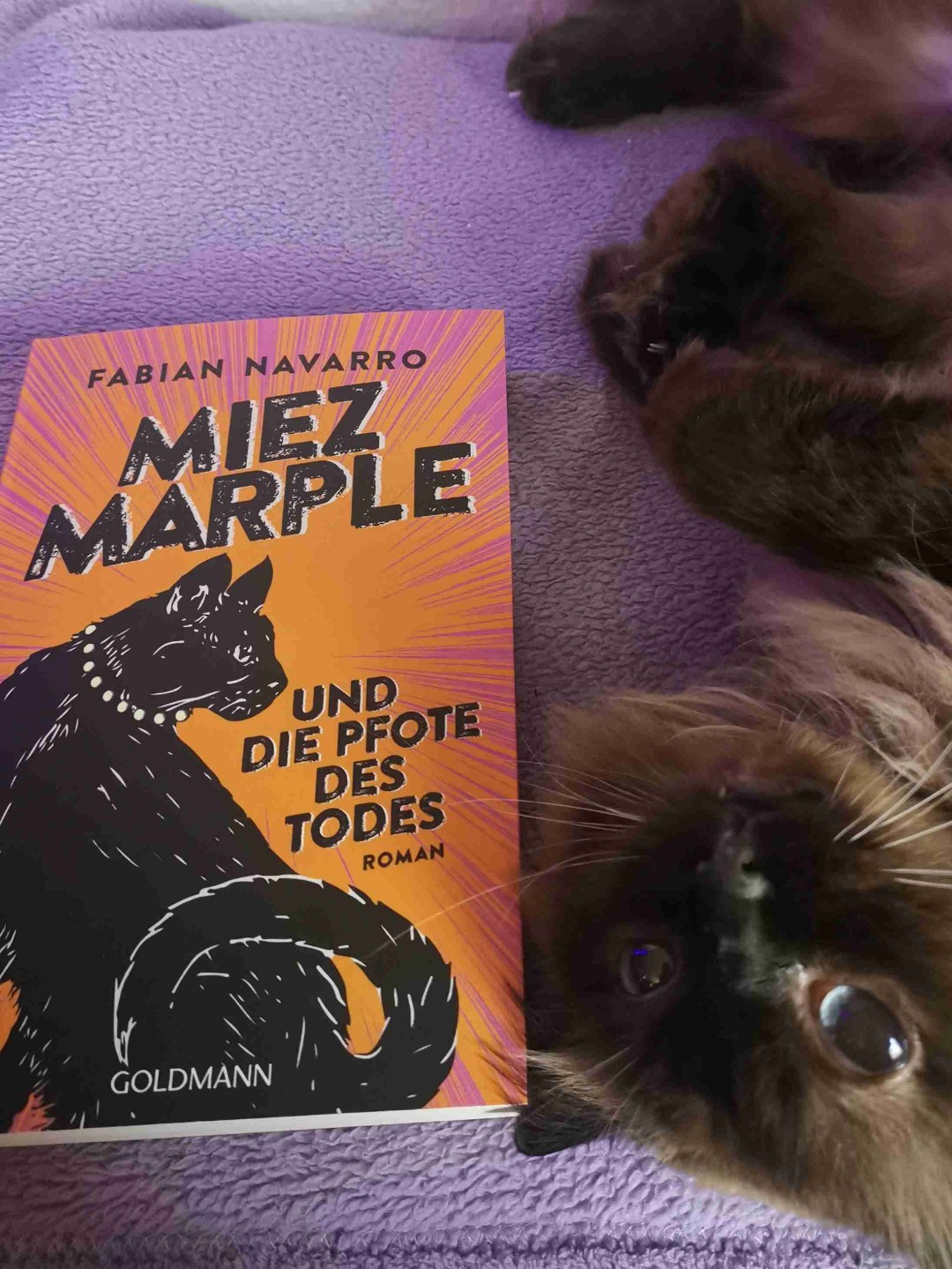 “Alte Bekannte, neue Freunde und ein Fall der an die Nerven geht”
So oder so ähnlich würde Miez Marple wohl ihr aktuelles Leben beschreiben.
Die Katzendetektivin ermittelt nach Ihrem Comeback Erfolg weiter, doch nicht jeder Fall ist ihrer würdig…