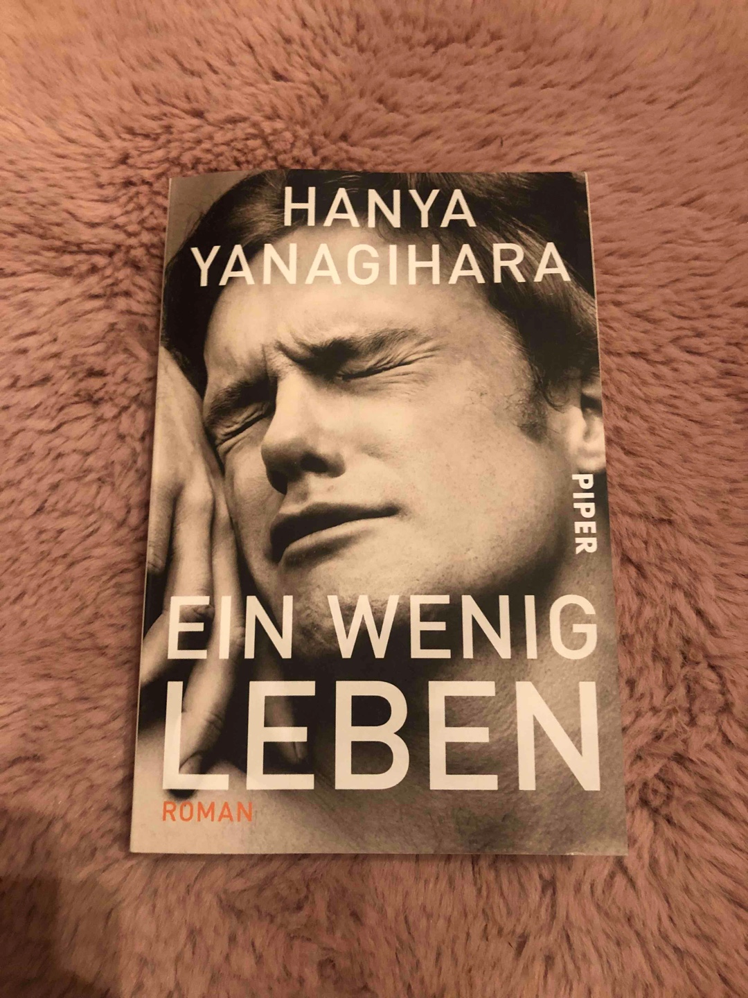 Diese Buch tut so weh. Es hat mir das Herz gebrochen ohne es wieder zusammen zu setzen.
