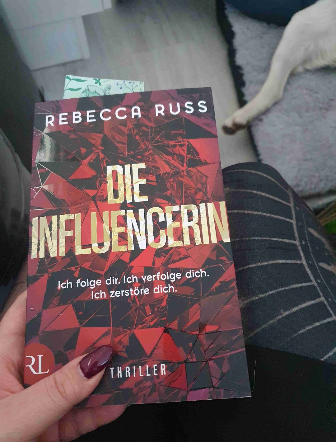 Tolles Buch.
Super flüssig und spannend geschrieben.
Wirklich krass, dass sowas tatsächlich passieren könnte.
Social Media ist Fluch und Segen zugleich...
