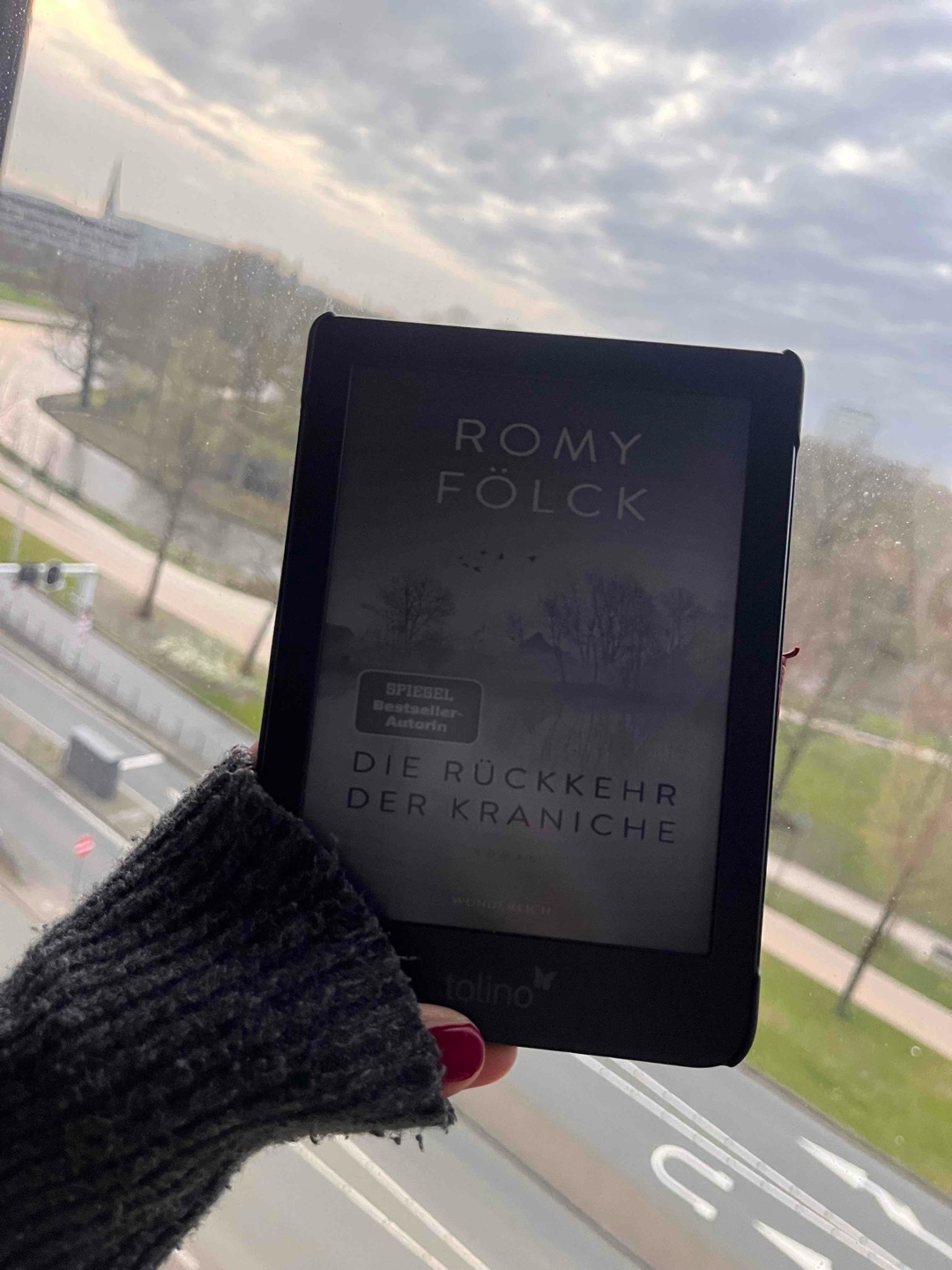 Ein richtig richtig schöner Roman. 
