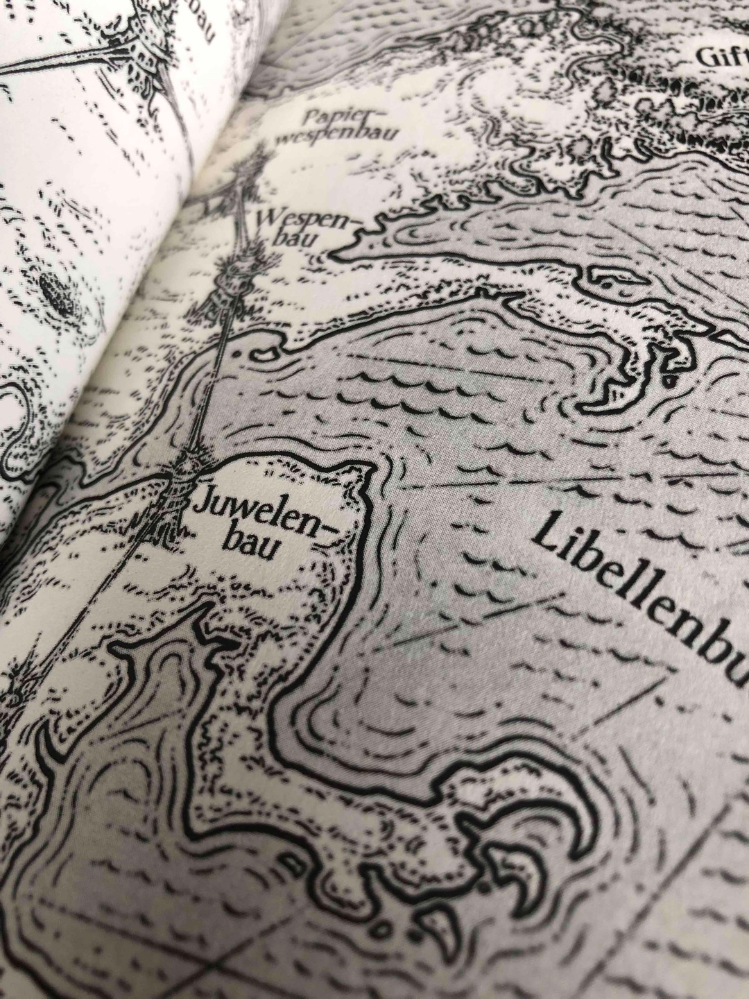 Es war ein nahezu perfektes Buch! Die Geschichte aus der Sicht von Snowfall hat mich sehr berührt und ich hätte noch unzählige Stunden mehr mit ihr verbringen können. Man merkte wie sehr sie sich im Laufe des Buches entwickelte und veränderte. Und auch das Cover war mal wieder wirklich ein Traum.
Jetzt bin ich super gespannt auf das Finale im nächsten Band!