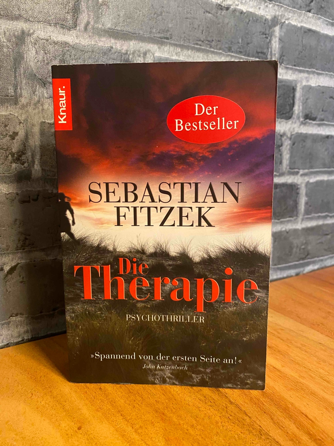 Mitreißender Psychothriller mit unerwartetem Plot Twist