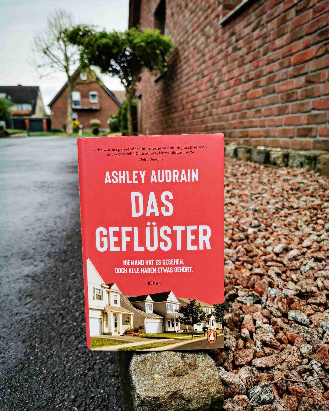 Das ganze hat definitiv "Desperate Housewifes" - Vibes und schreit förmlich danach verfilmt zu werden.
Gute Unterhaltung, die beim lesen ein gewisses Unbehagen hervorruft (liebe ich)!