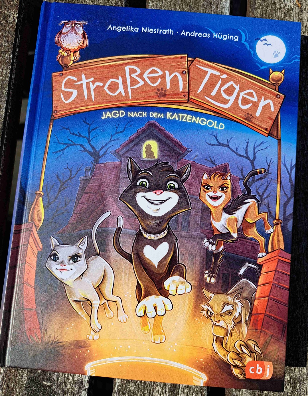 Lustiges Katzenabenteuer mit tollen Bildern und kurzen Kapiteln - super als Vorlesebuch und zum Selbstlesen ab ca. 8 Jahren