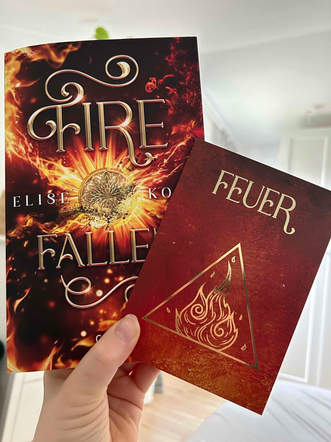 Fire Fallen - der zweite Band der Elemente Saga 🔥