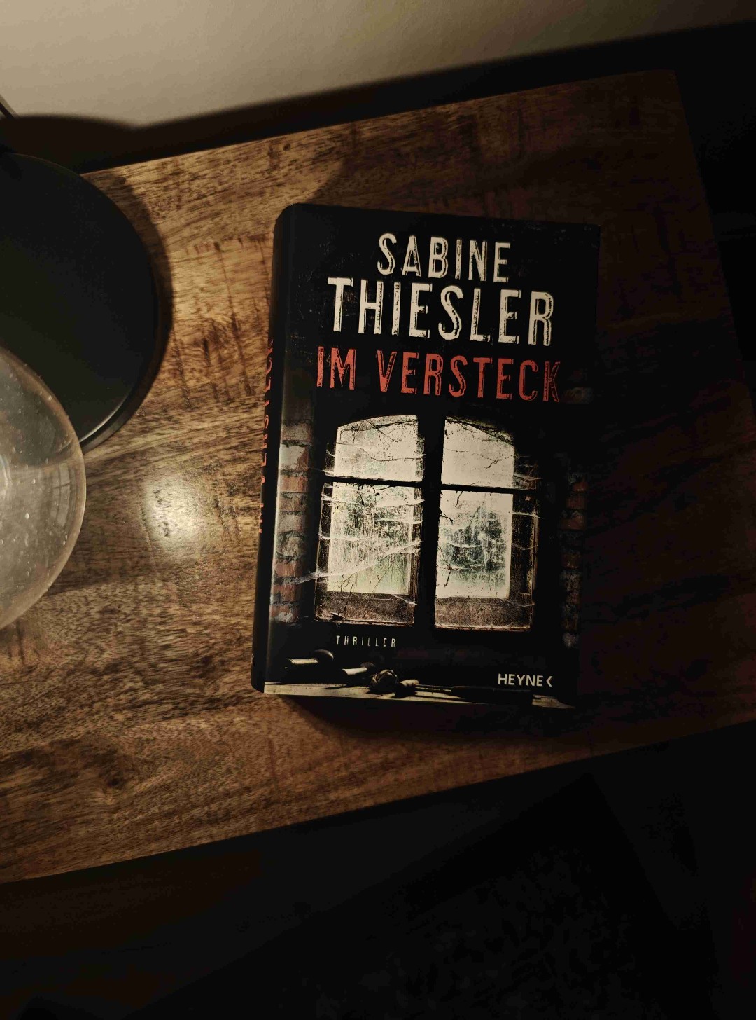 Sabine Thiesler - Im Versteck