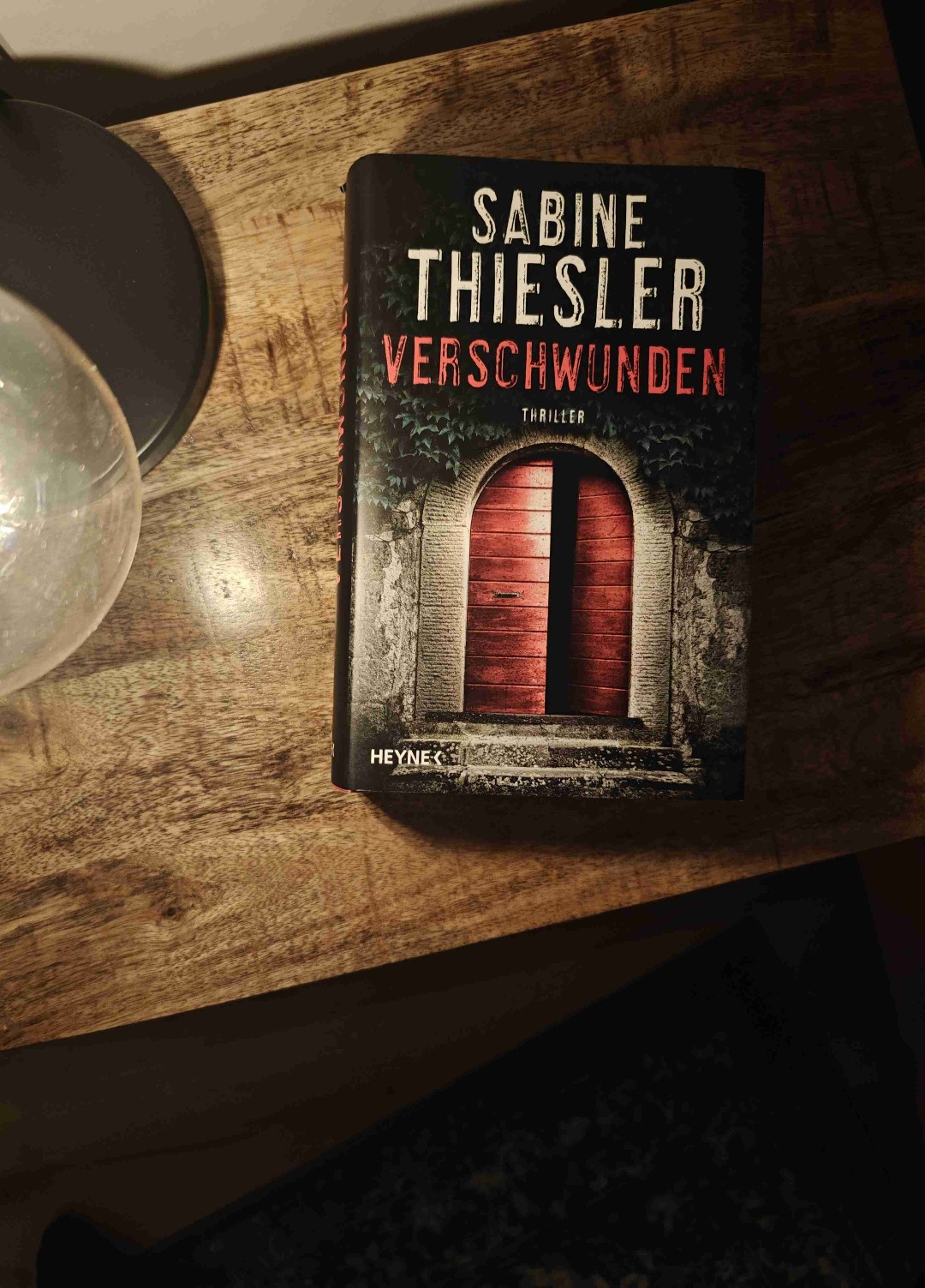 Sabine Thiesler - Verschwunden