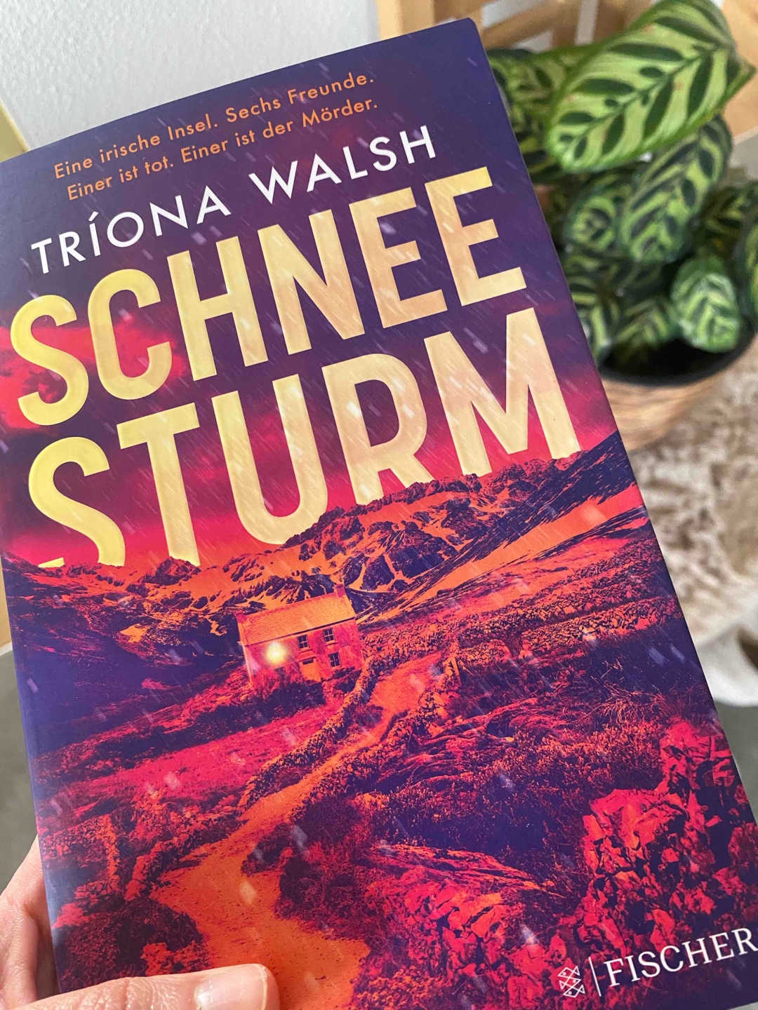 Cover und Buchrücken überzeugen, der Inhalt kaum….