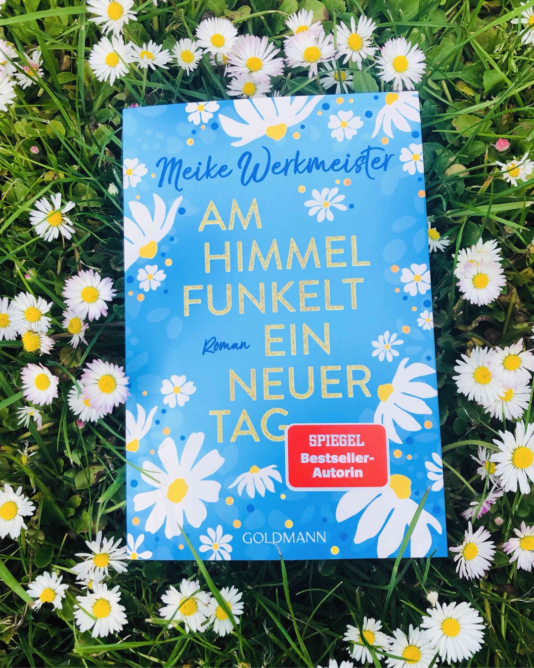 Wohlfühlroman