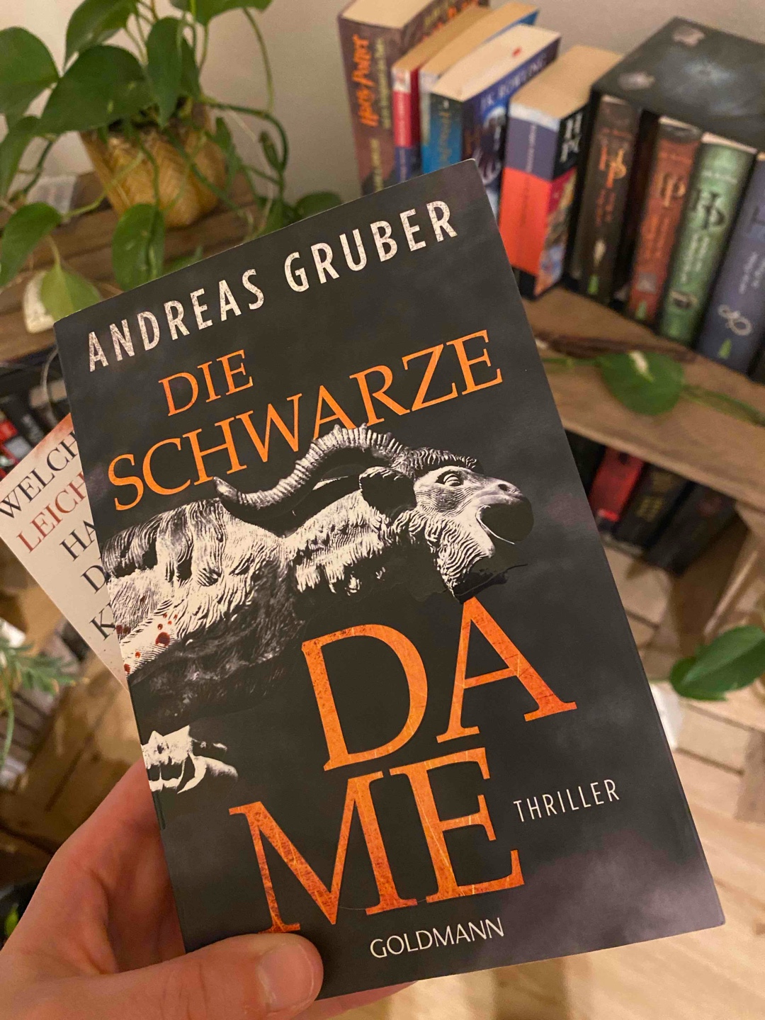 Andreas Gruber kann es besser