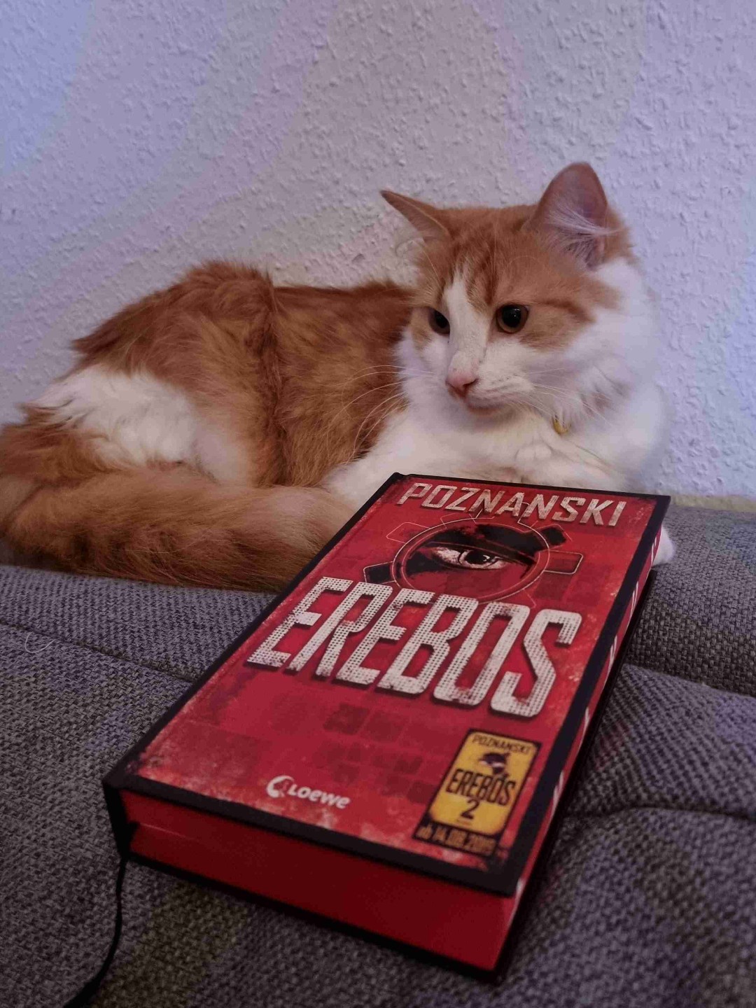 Ein Buch was zum nachdenken anregt.
