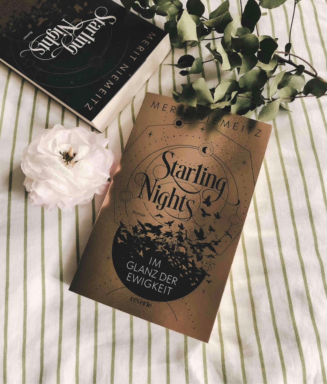 Band 2/2 | Hab den Humor und den enemies to lovers Part so geliebt 🤎