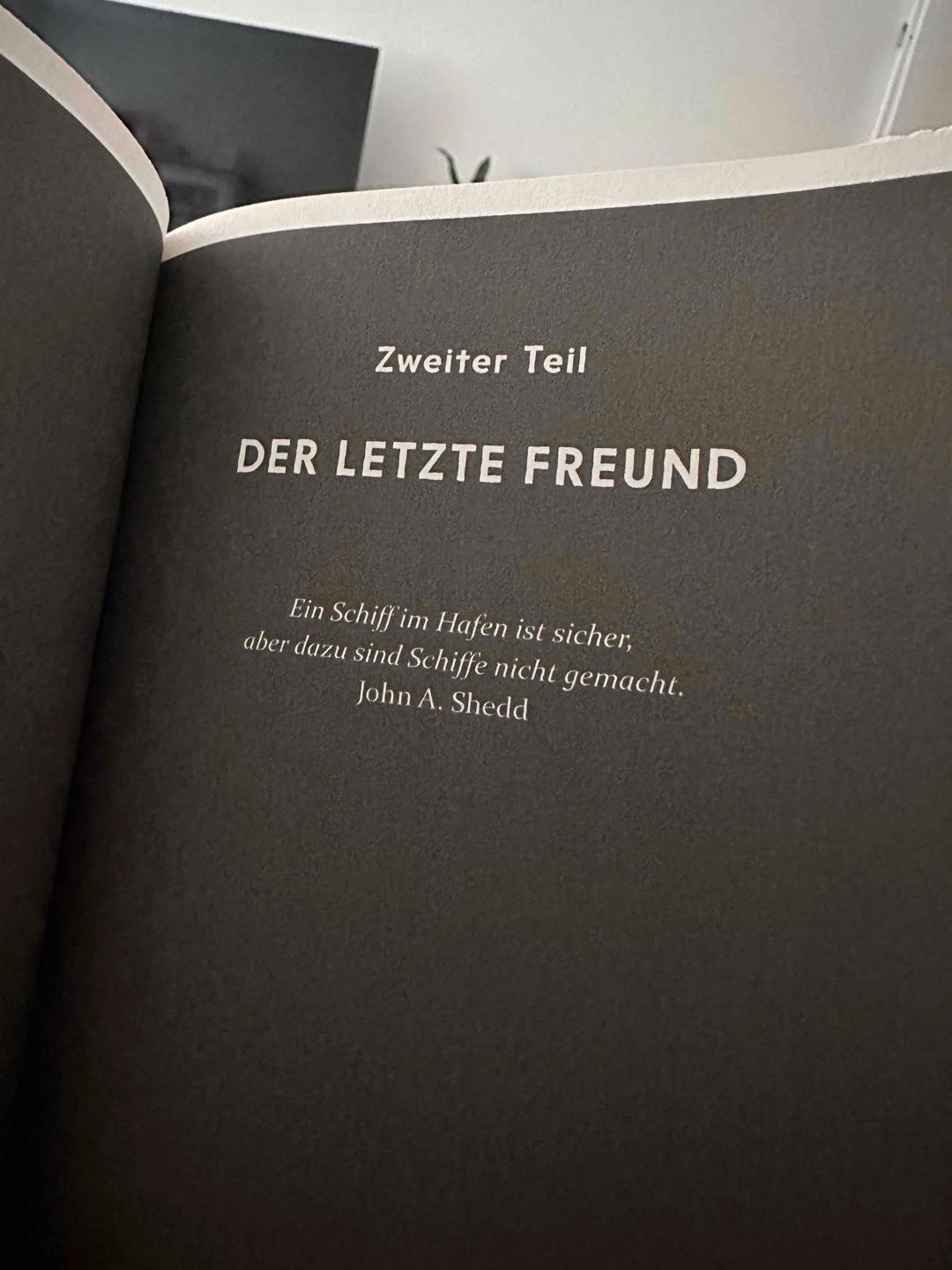 Tolles Buch, das zum Nachdenken anregt!