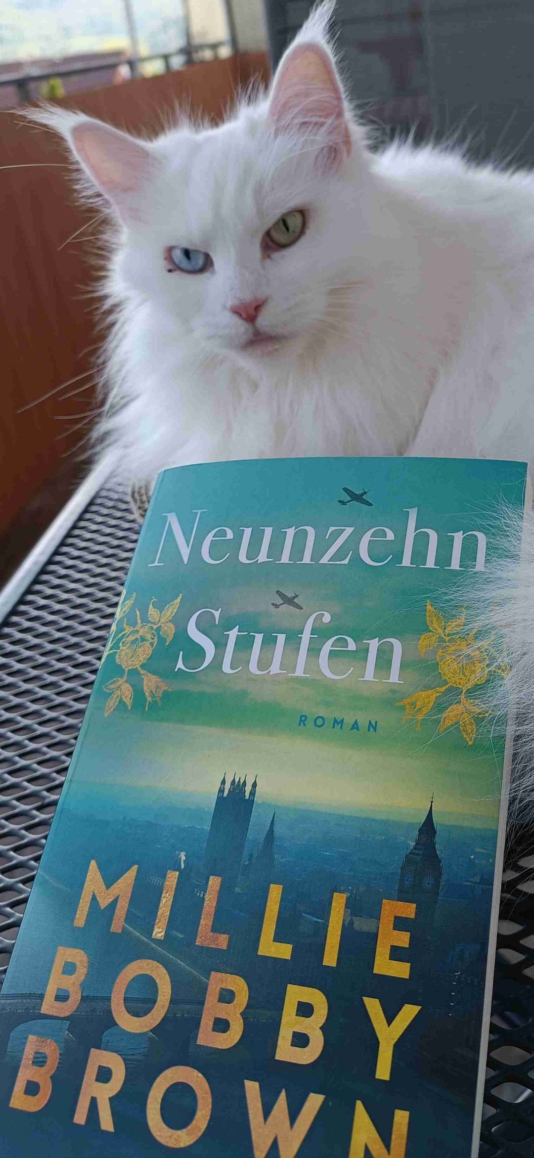 Neunzehn Stufen
