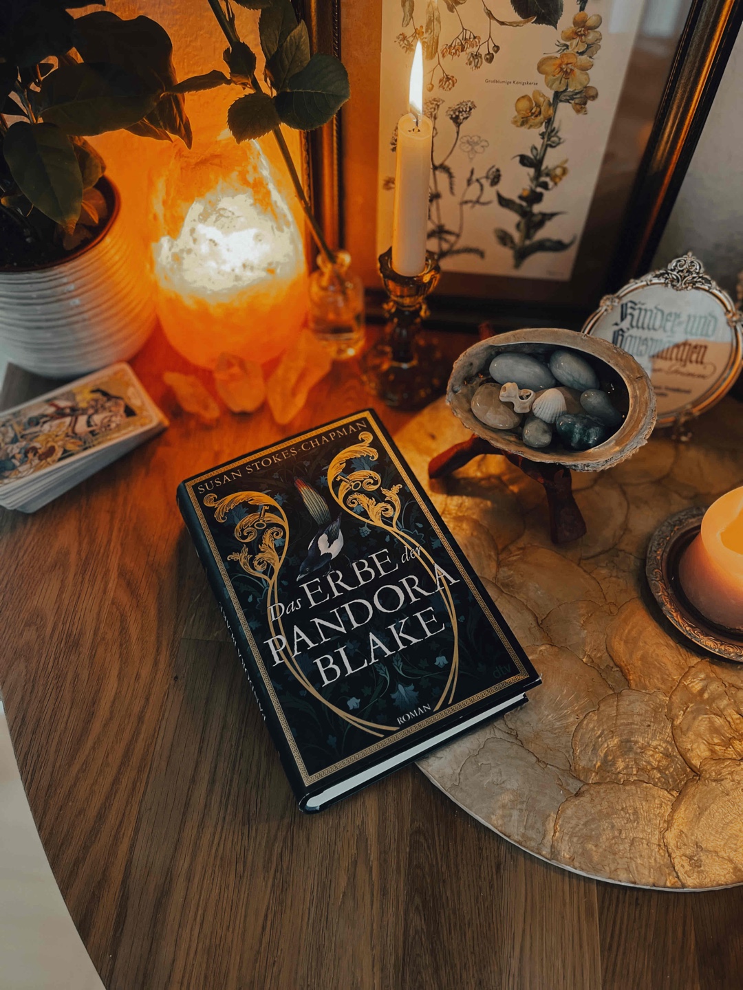 Hat mich sehr gut unterhalten. Das Setting ist super, die Figuren liebreizend und die Familiengeheimnisse mysteriös. Ich liebe das Antiquariat und den erstaunlich großen Anteil an griechischer Mythologie. 🥰