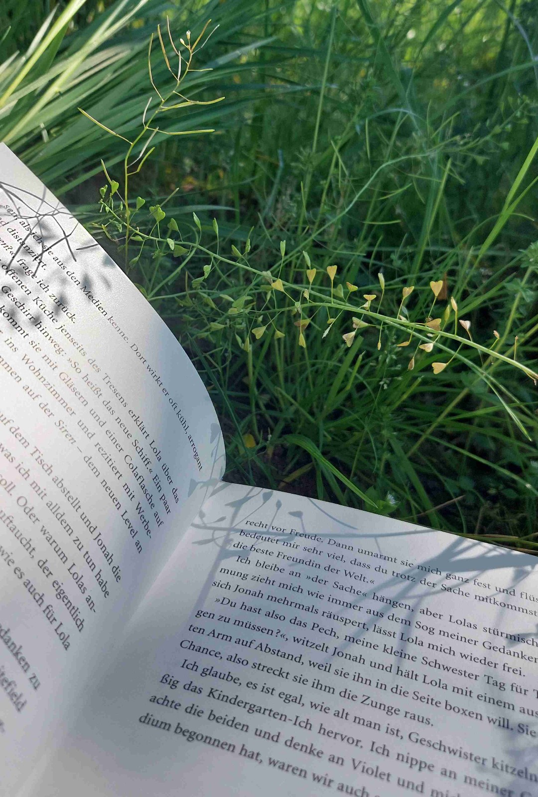 Bad Influence ist ein wunderschönes Buch, in dem man einfach versinken kann, ohne jemals den Wunsch zu verspüren wieder in die Realität zurückkehren. Ich liebe die vielen Wendungen und unerwarteten Enthüllungen, die so typisch für die Romane von Stephanie Hasse sind. Vielen Dank für dieses wunderbare Leseerlebnis.