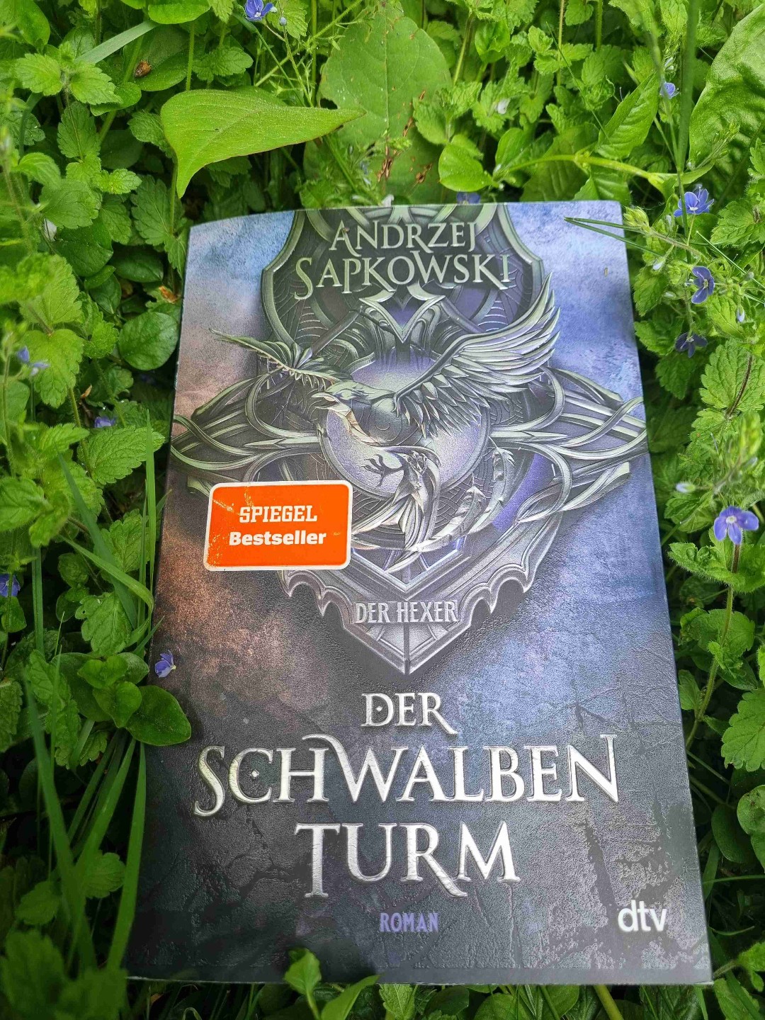 Ciri kuriert sich im Schilf