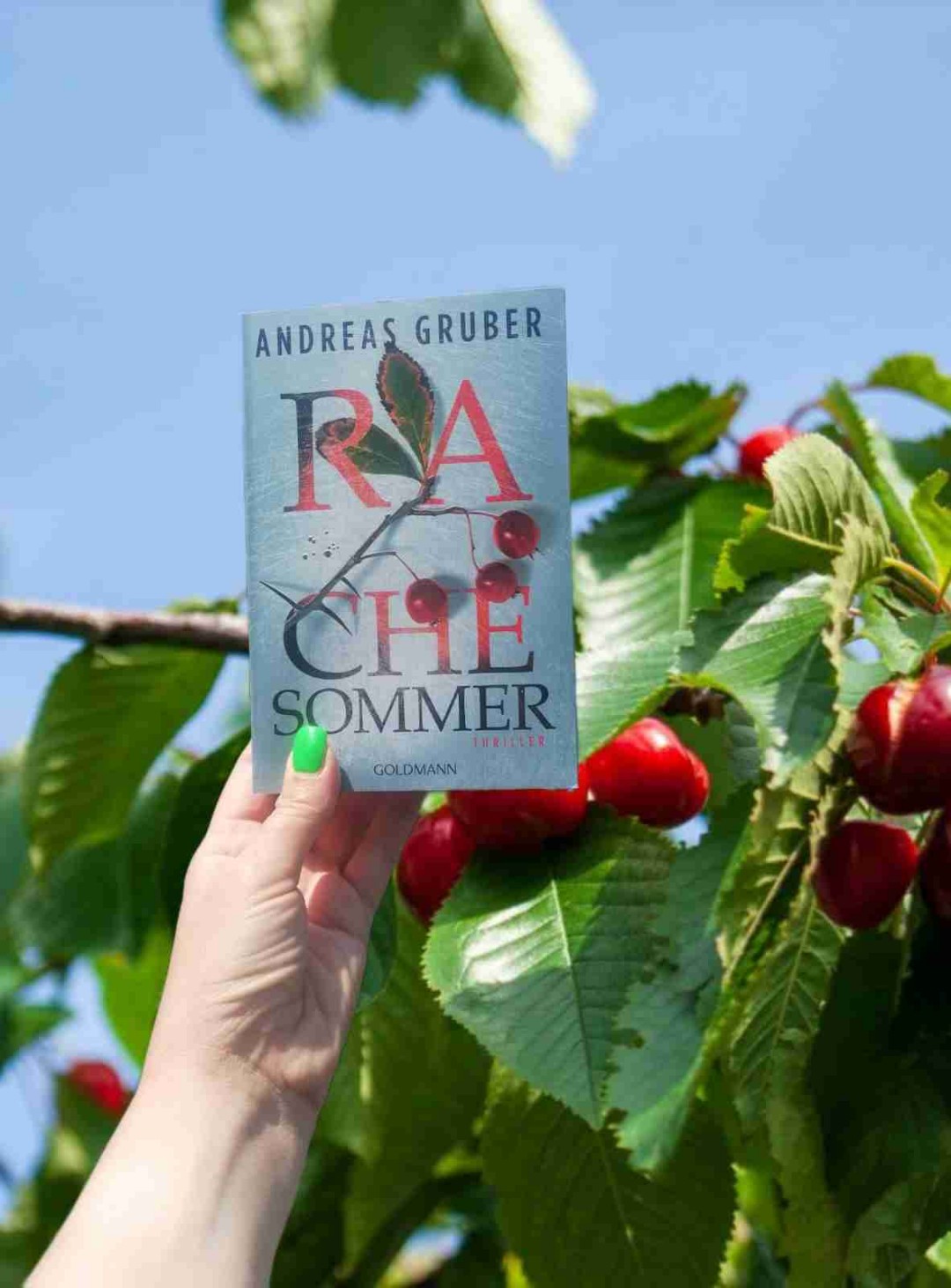 Liebe die Bücher von dem Autor