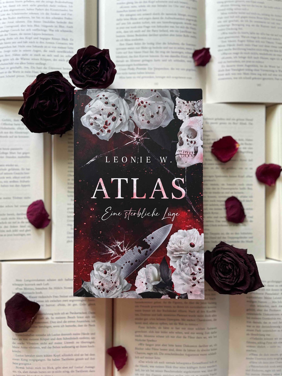 Rezension ✨
„Ich liebe dich nicht nur am meisten auf dieser verf!ckten Welt. Du bist auch noch das einzige, was ich je geliebt habe…“ ❣️