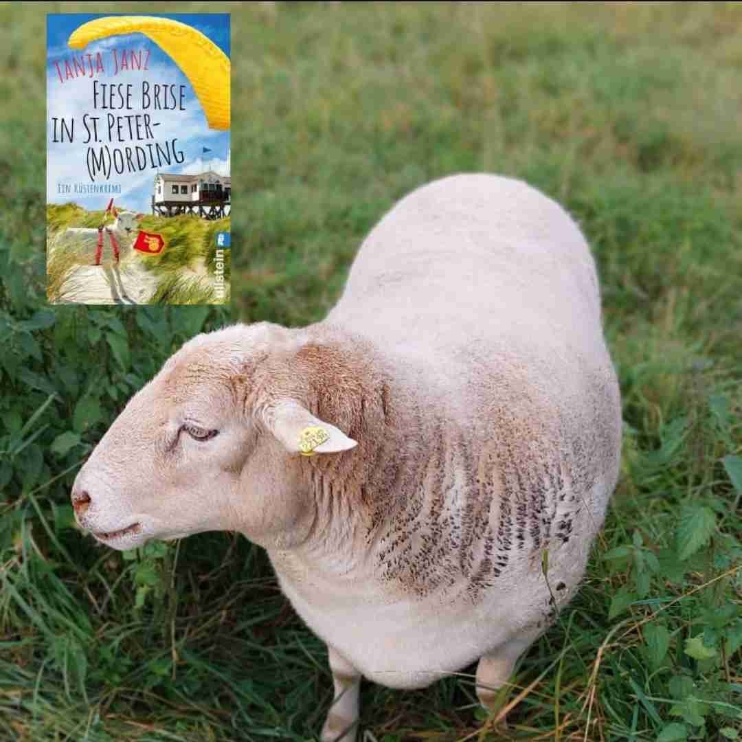 In St. Peter Ording geht wieder ein Mörder um.