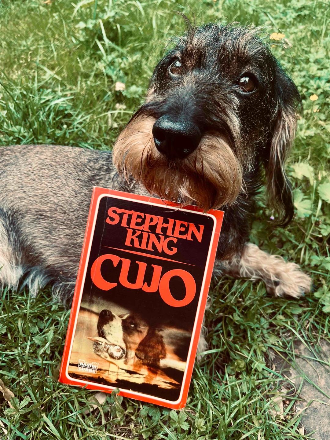 Danke an Stephen King…