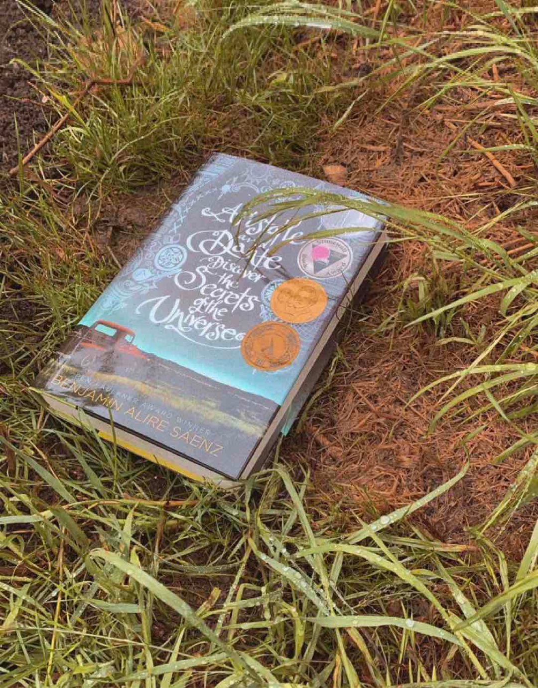 Das Buch der verlorenen Sommer