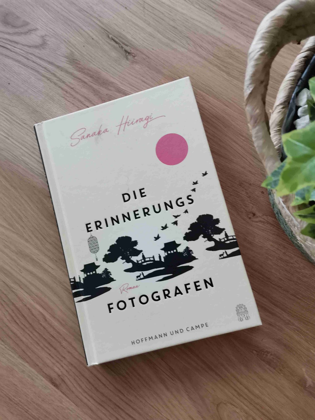 Eine tolle Geschichte! Hirasakas Besucher waren so verschieden, wie ihre Erinnerungen, dennoch hatten sie etwas gemeinsam...
Ich möchte eine Fortsetzung!