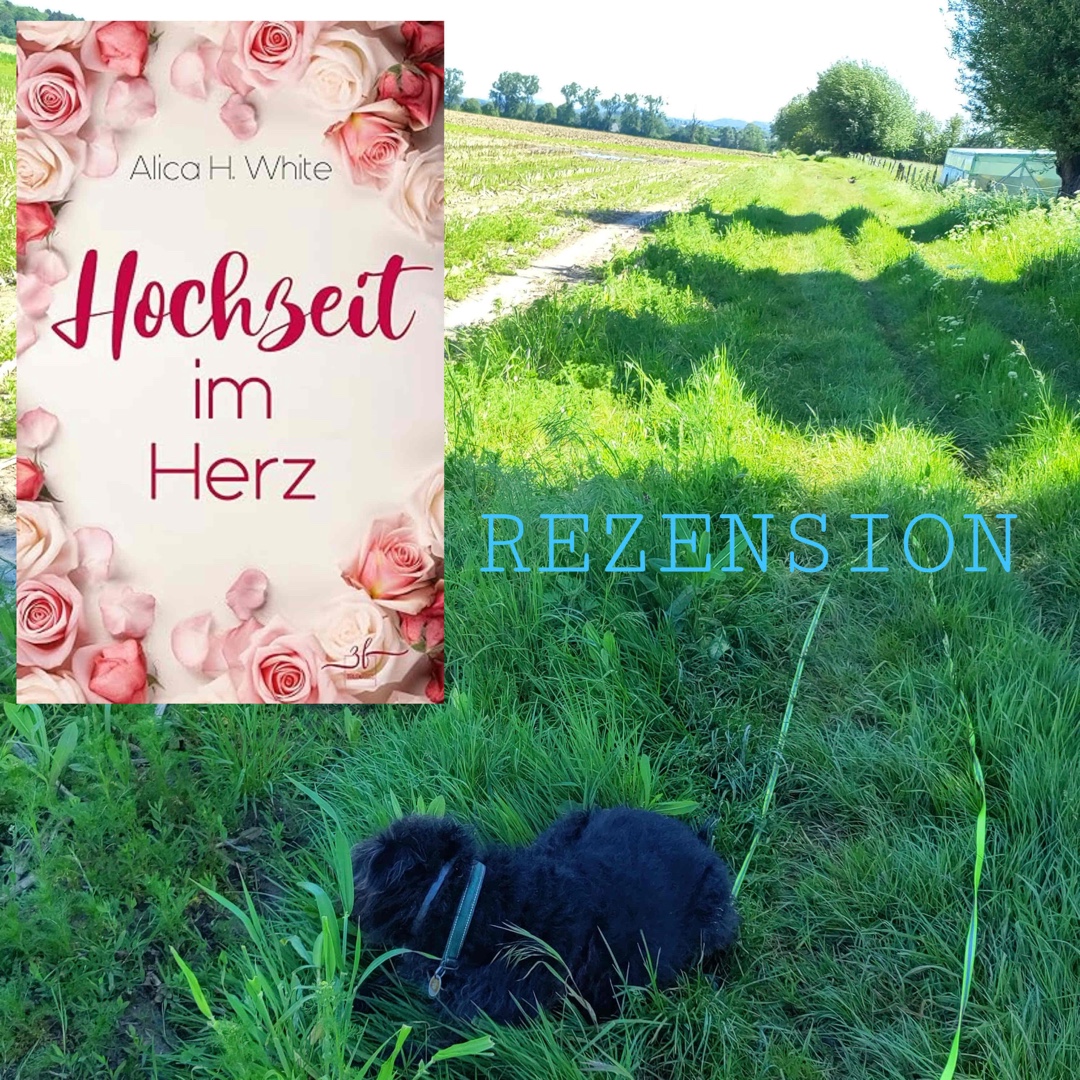 Sehr unterhaltsam