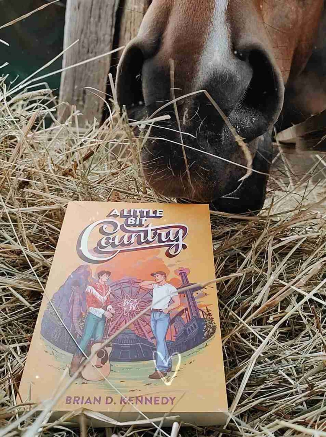 Country is my guilty pleasure. 🙈🤠👢
And I'm absolutely in love with this book. It's such a cute story about finding yourself and coming out. It's about dreams and how you should always try to achieve them and about so much more. But mostly about the fact that (country) music always tells a story and how you can find yourself between these lyrics. 🥰