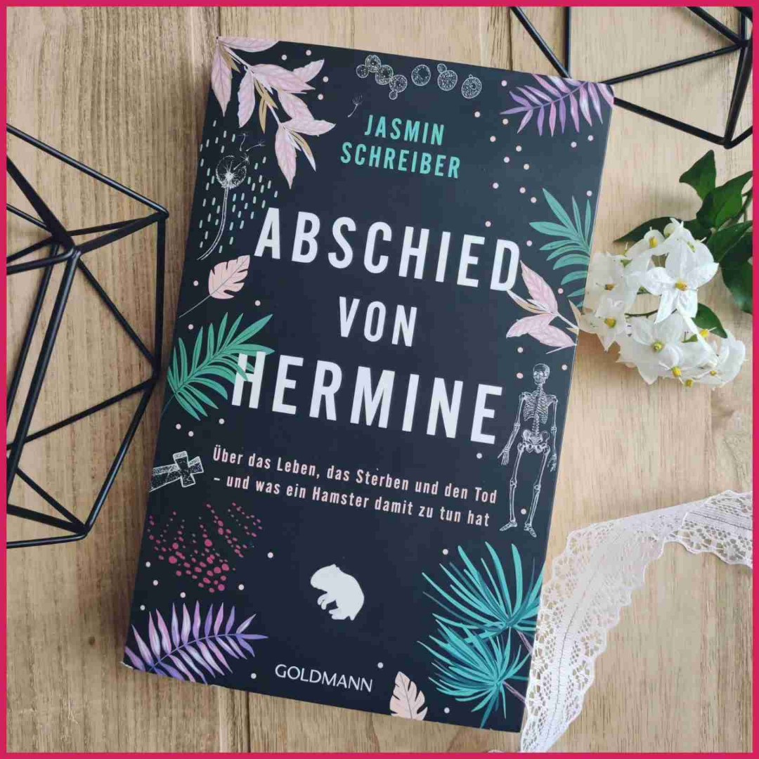 Humorvolles Sachbuch