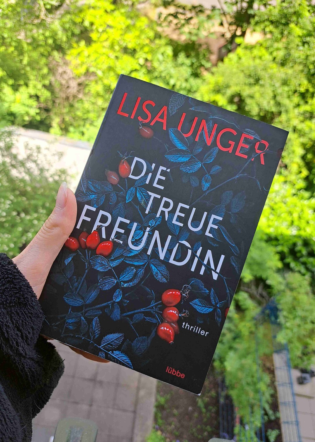 Spannender thriller mit gutem Aufbau und tollen Charakteren 📚