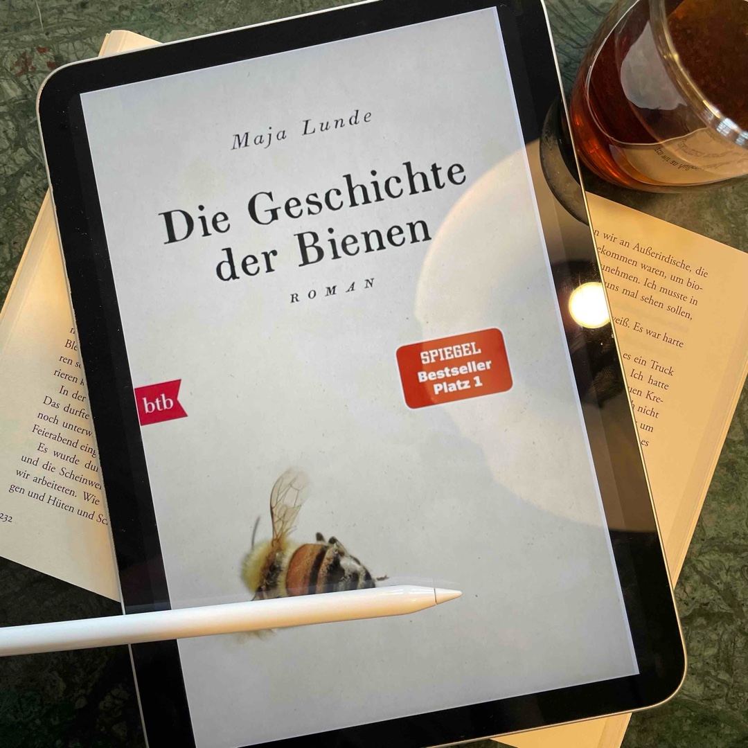 »Das Leben eines einzelnen Menschen, sein Fleisch, sein Blut, seine Körperflüssigkeiten, Nervensignale, Gedanken, Ängste und Träume bedeuten nichts. Auch die Träume, die ich für ihn gehabt hatte, bedeuteten nichts, solange ich sie nicht in einen Zusammenhang brachte und erkannte, dass dieselben Träume für uns alle gelten mussten.«