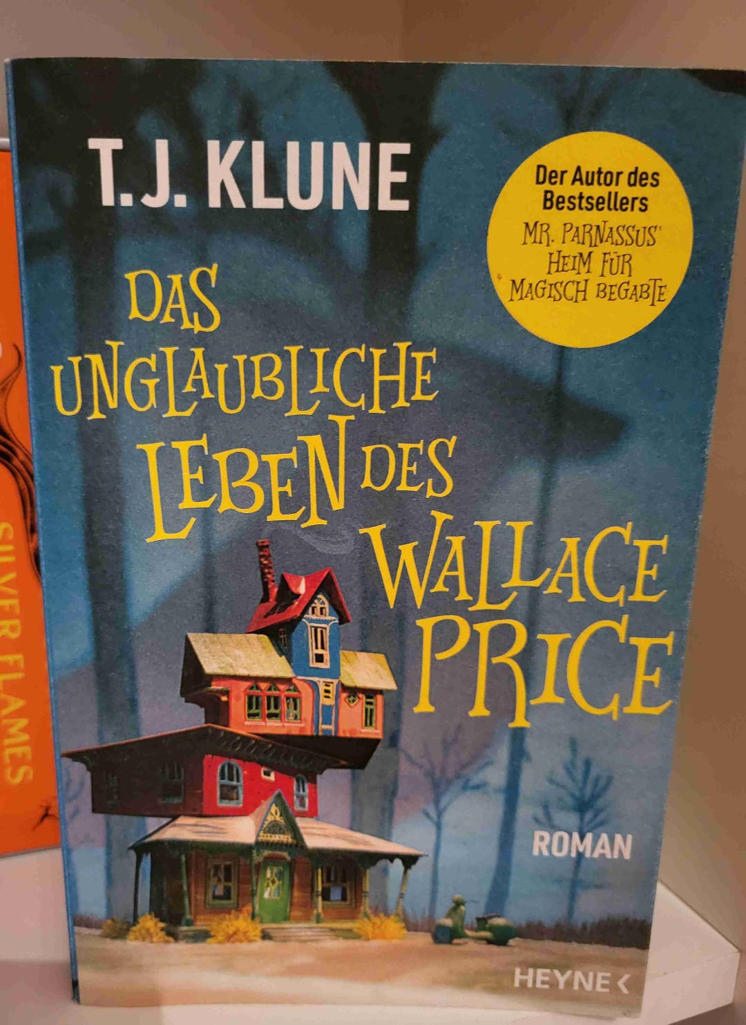 Wunderschöne cosy Fantasy