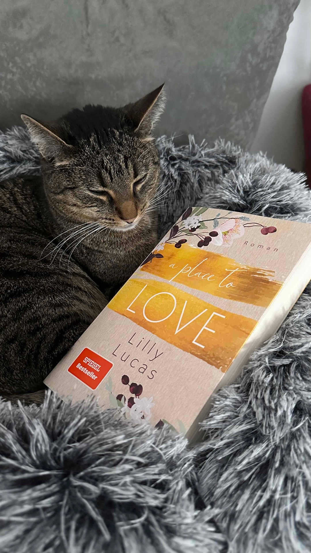 🌺 Ein Wohlfühlbuch 🌸