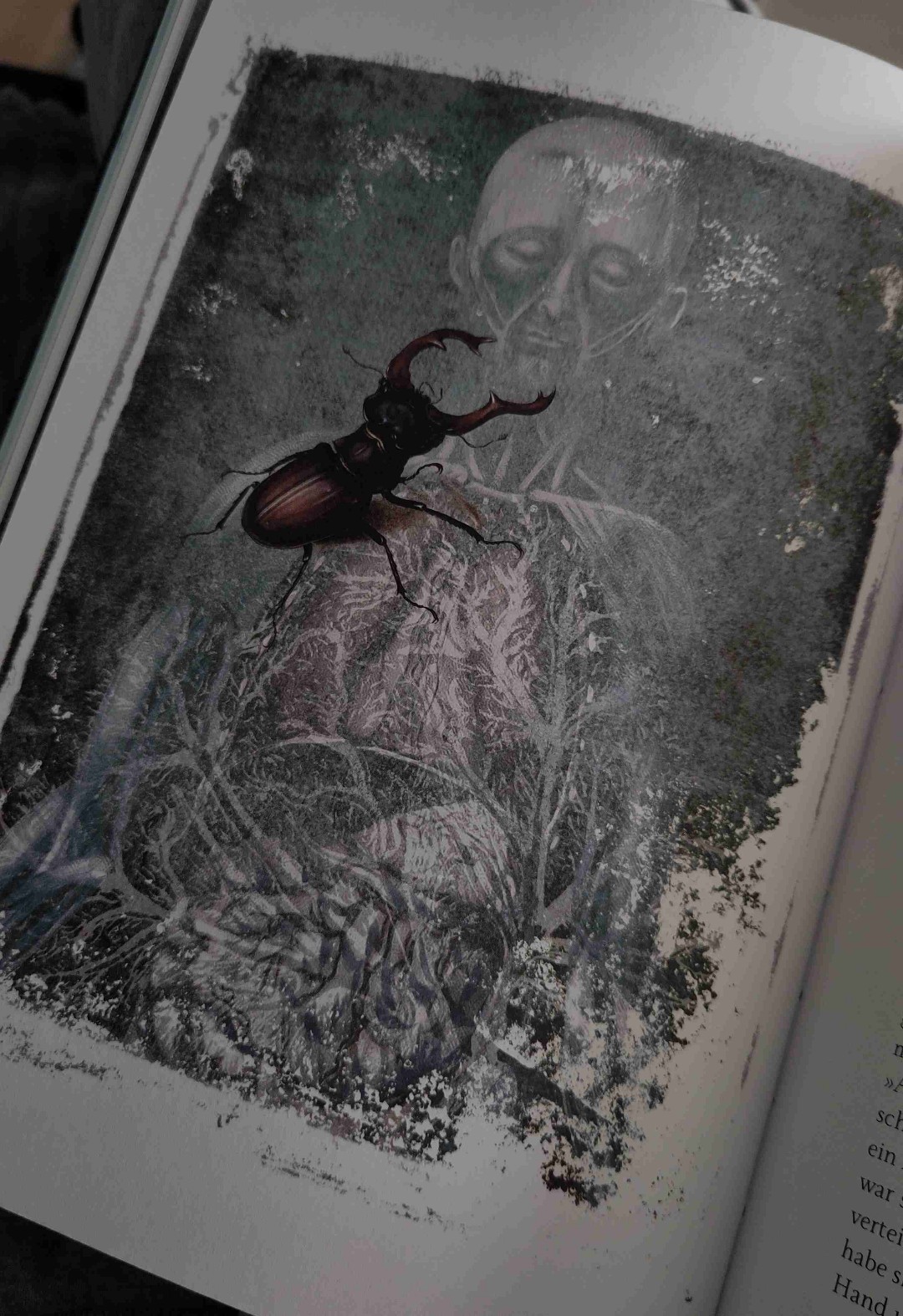 Ein Klassiker mit tollen Illustrationen 🧟♂️🕯️