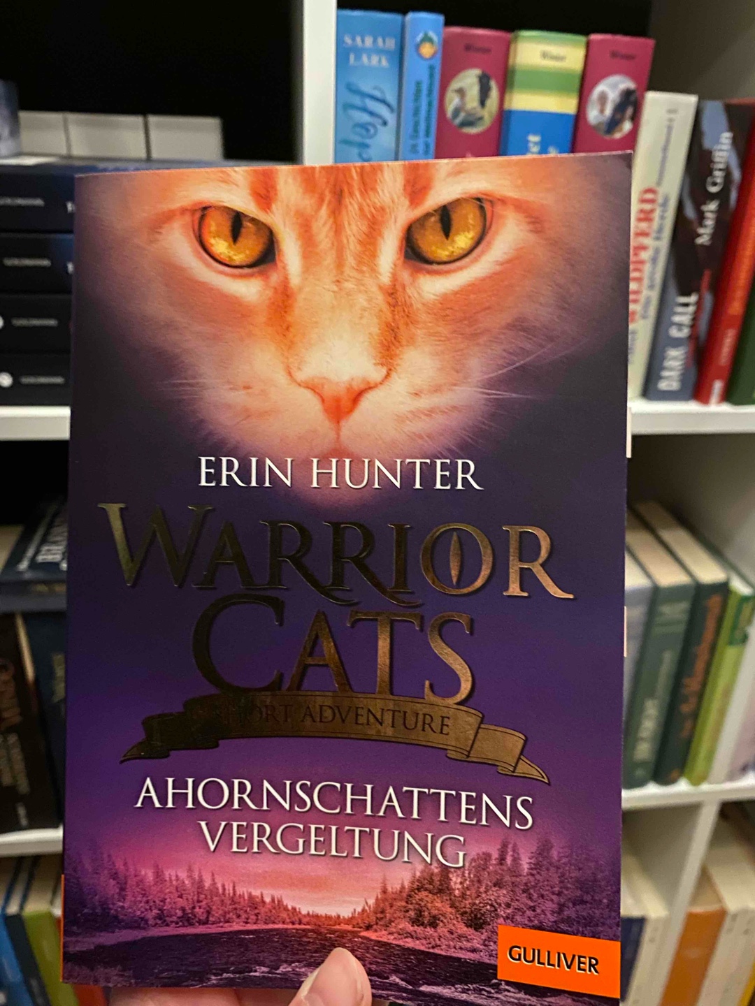 Meiner Meinung nach ein eher schwächeres Werk. Ahornschatten hat ein mieses Schicksal, aber man merkt, dass in ca. 100 Seiten keine richtige Charaktertiefe erstellt werden kann.