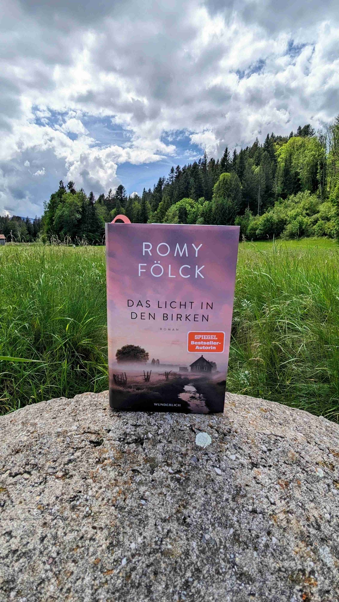 Schönes Sommerbuch zum Treiben lassen.